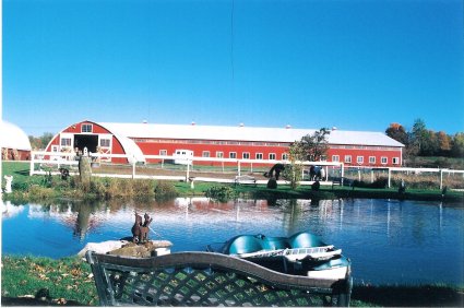 horse retirement barn.jpg